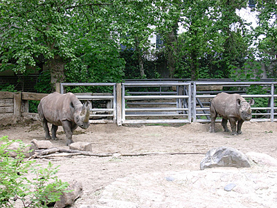 berlin2010-3993