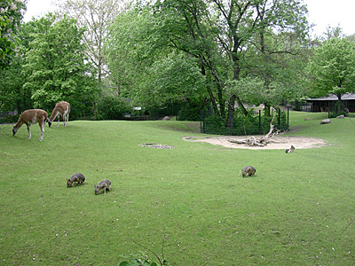 berlin2010-3998