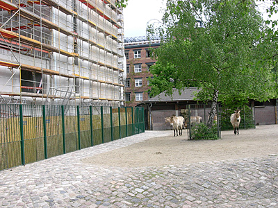 berlin2010-3999