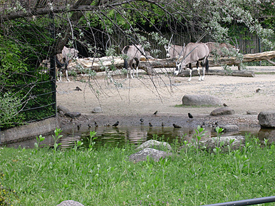 berlin2010-4000