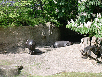 berlin2010-4001