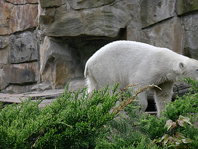 berlin2010-4002