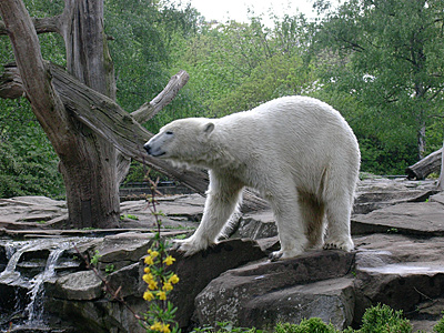 berlin2010-4003