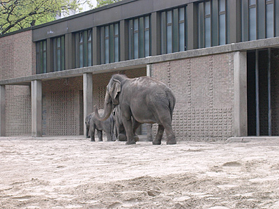 berlin2010-4006