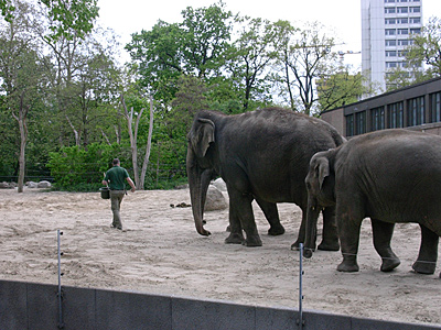 berlin2010-4007