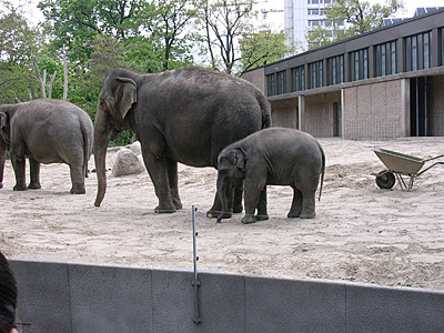 berlin2010-4008