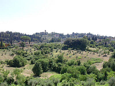 florenz3855