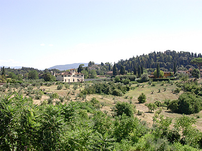 florenz3856