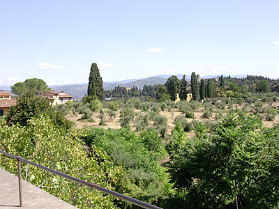 florenz3857