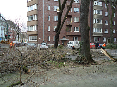 DSC07548