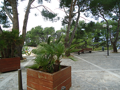 mallorca2511