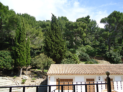 mallorca2528