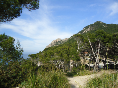 mallorca2530