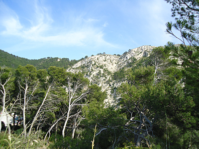 mallorca2531