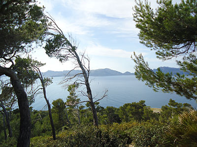 mallorca2534
