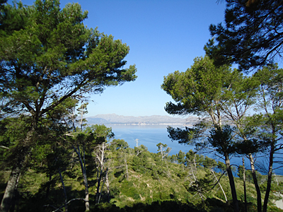mallorca2586