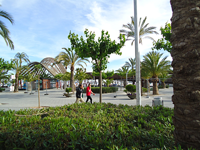 mallorca2633