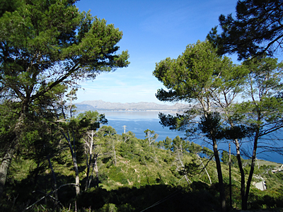 mallorca2645