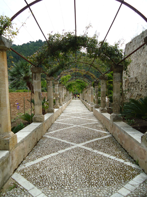 mallorca2659