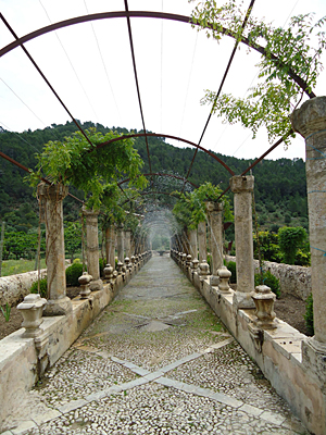 mallorca2660