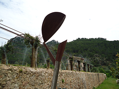 mallorca2661