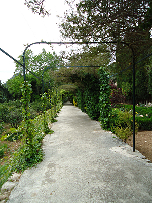mallorca2664