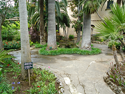 mallorca2667