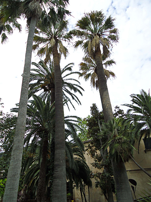 mallorca2668