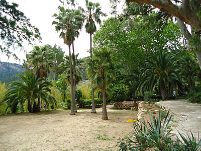 mallorca2674
