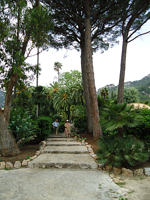 mallorca2675