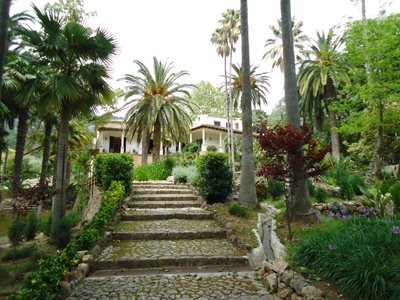 mallorca2677