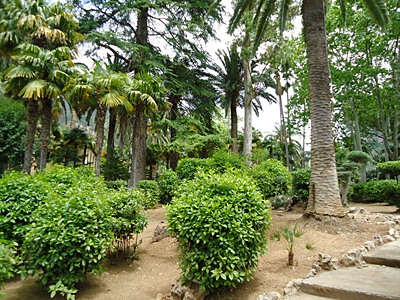 mallorca2679