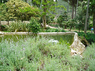 mallorca2683