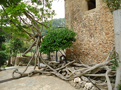mallorca2685