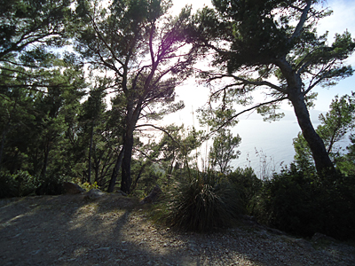 mallorca2776
