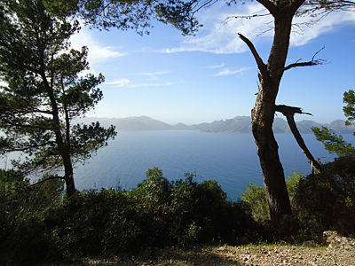 mallorca2777