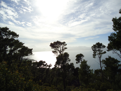 mallorca2778