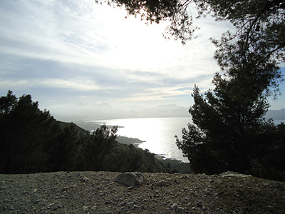 mallorca2779