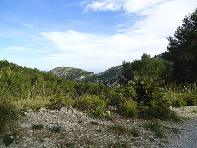 mallorca2780