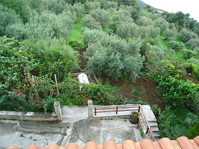 sizilien2013-3076