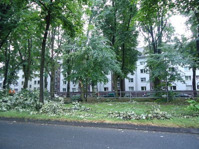 sturm-ela/ela-03541