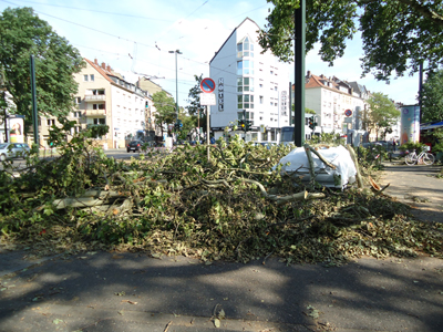 sturm-ela/ela-03552
