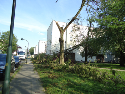 sturm-ela/ela-03588