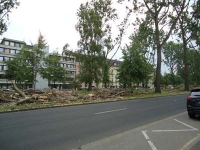 sturm-ela/ela-03688