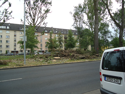 sturm-ela/ela-03692