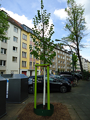 sturm-ela/ela-04673