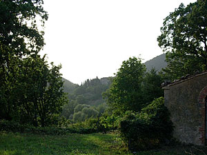 freguia849