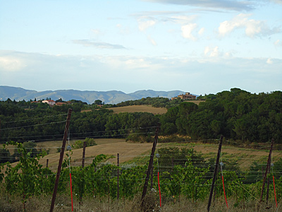 toskana10-0061