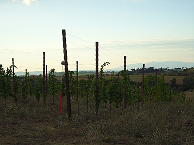 toskana10-0062