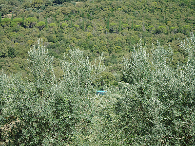 toskana10-0065